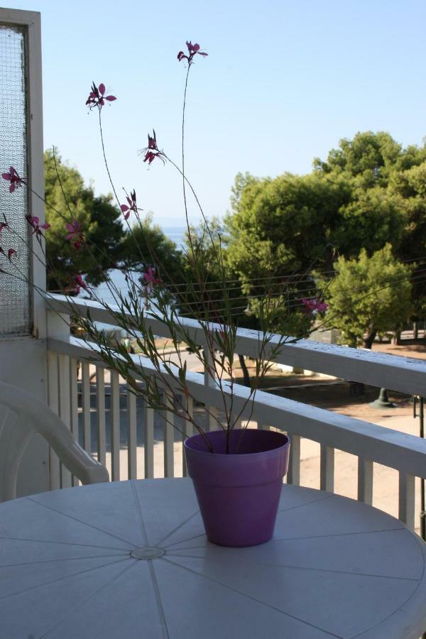 Cosy By The Sea Metamorfosi (Sithonia)