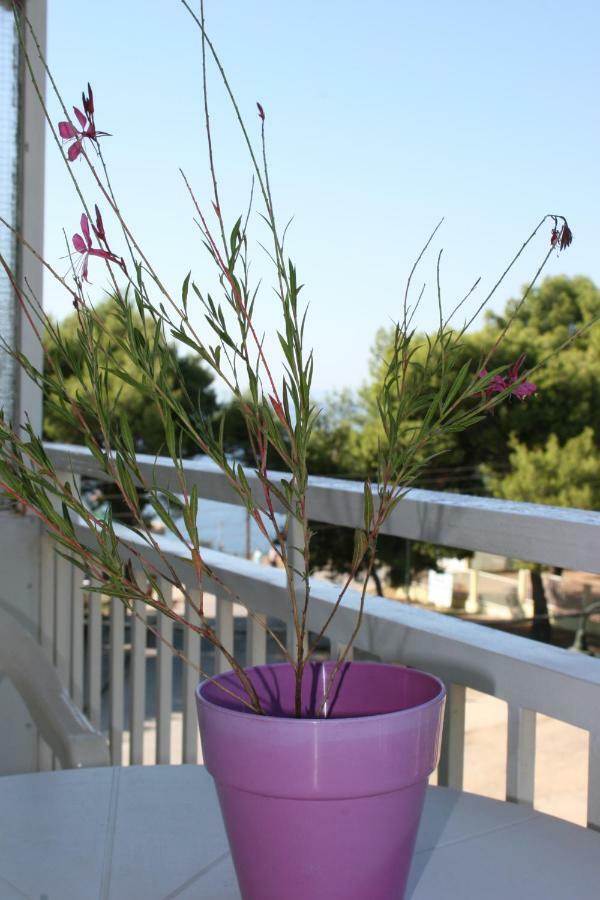 Cosy By The Sea * Metamorfosi (Sithonia)