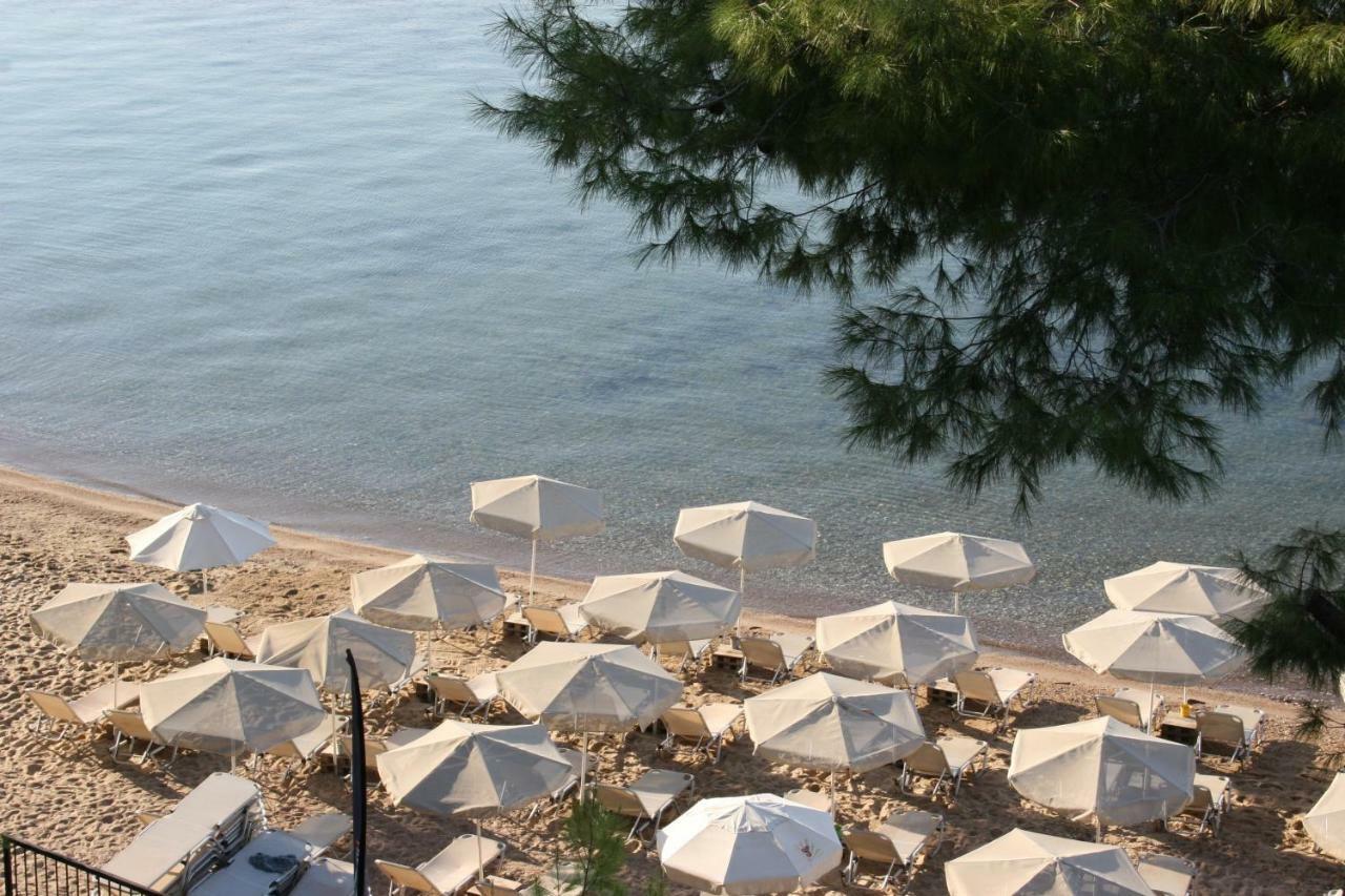 Apartment Cosy By The Sea Metamorfosi (Sithonia)