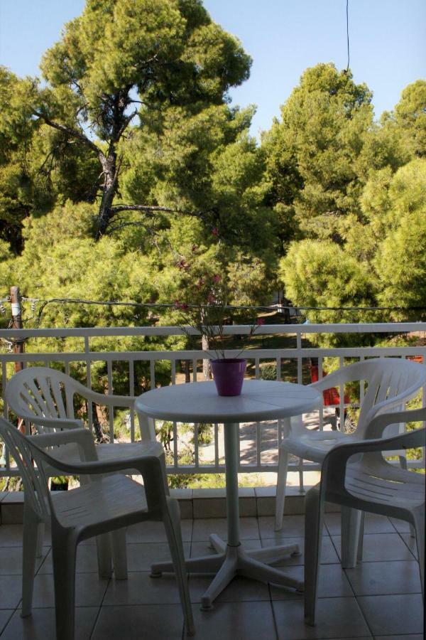 Cosy By The Sea Apartment Metamorfosi (Sithonia)