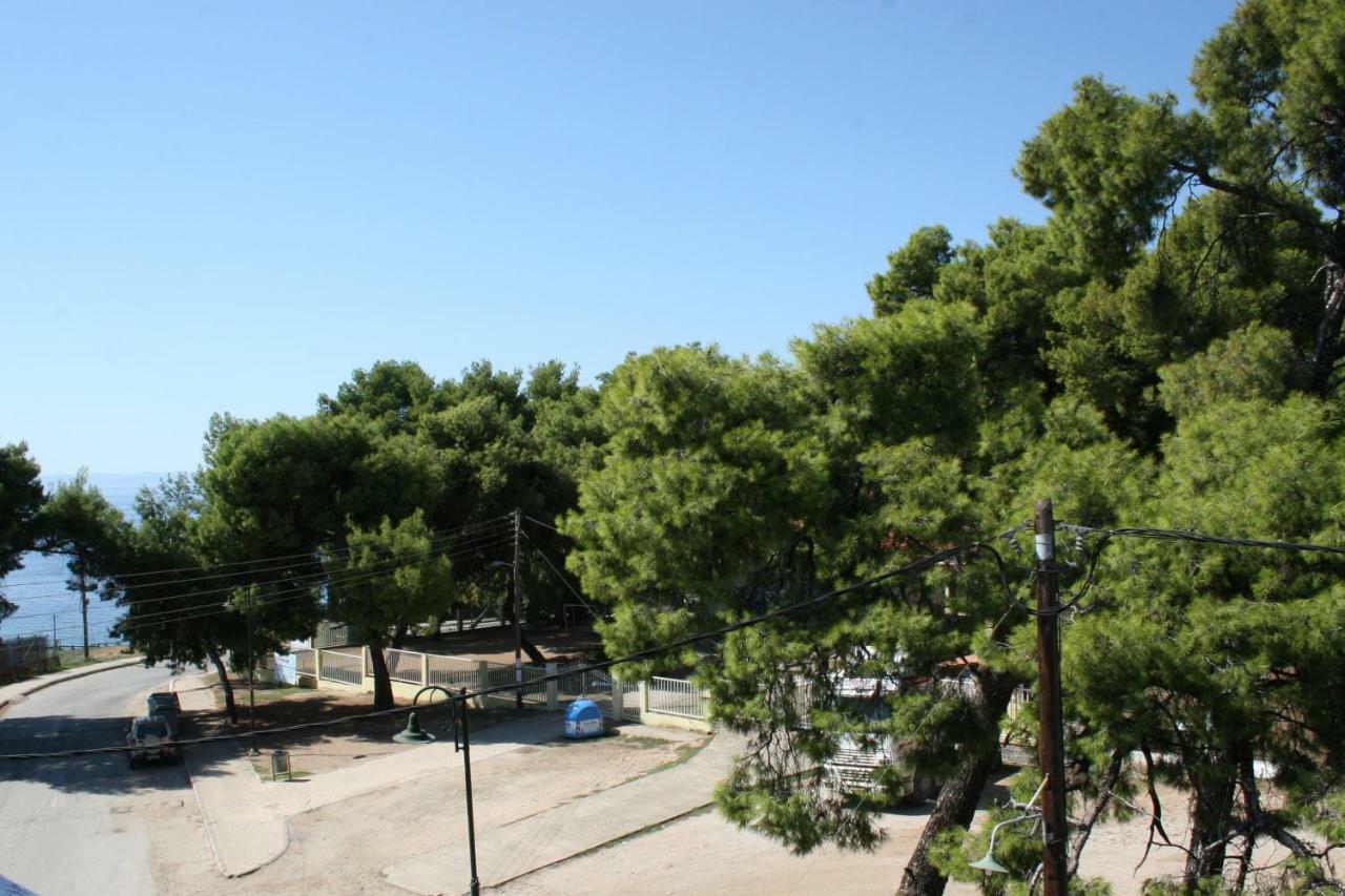 Apartment Cosy By The Sea Metamorfosi (Sithonia)