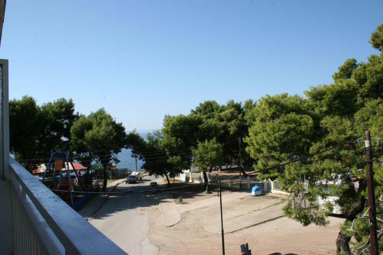 Apartment Cosy By The Sea Metamorfosi (Sithonia)