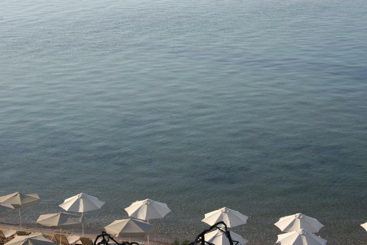 Apartment Cosy By The Sea Metamorfosi (Sithonia)