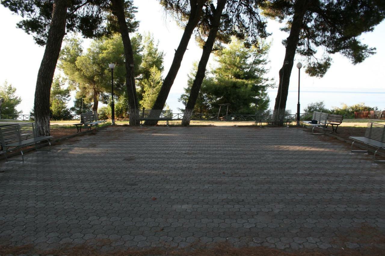 Cosy By The Sea Apartment Metamorfosi (Sithonia)