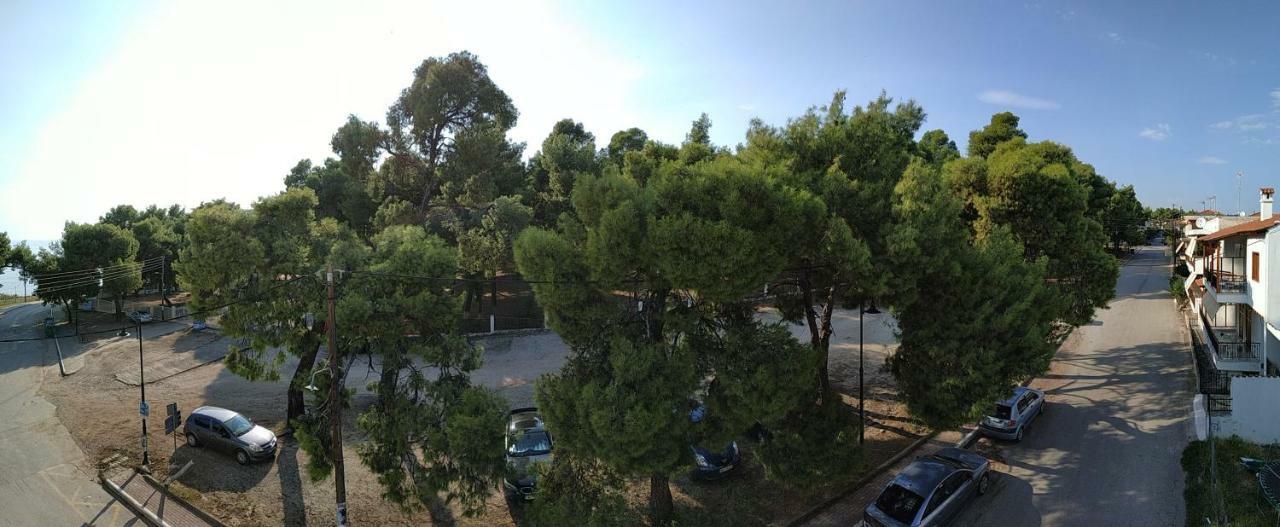 Cosy By The Sea Apartment Metamorfosi (Sithonia)