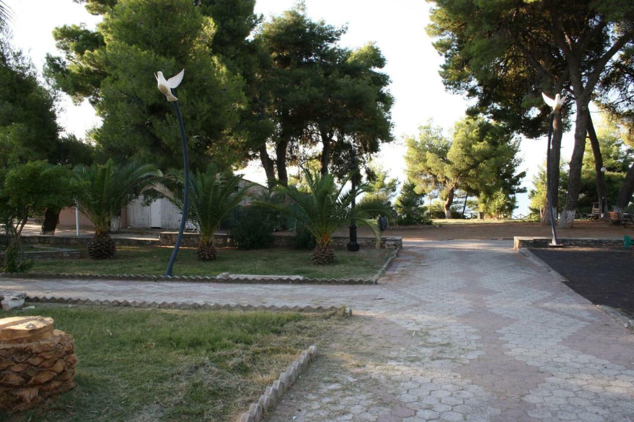 Cosy By The Sea Apartment Metamorfosi (Sithonia)