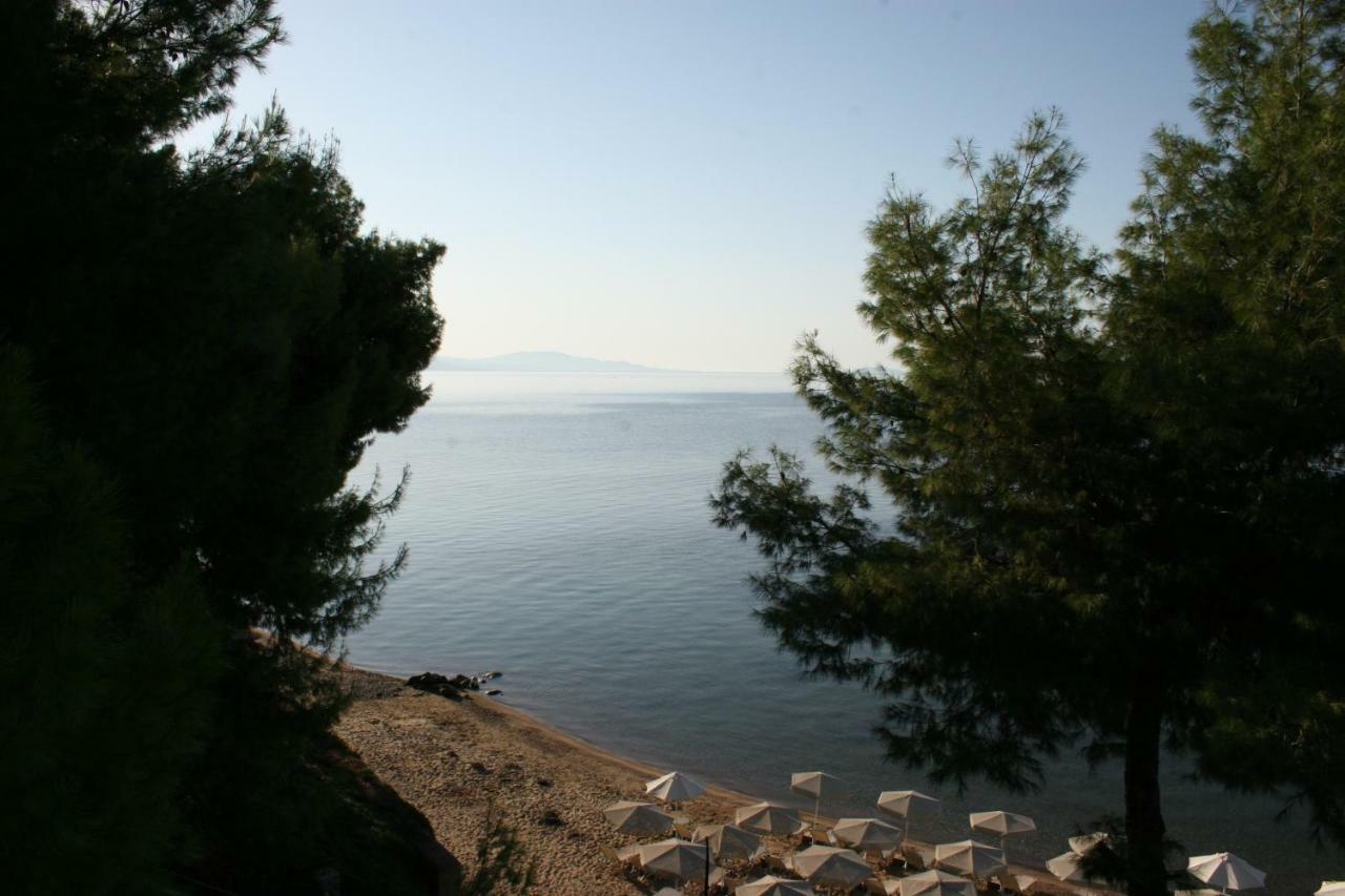 Cosy By The Sea Appartement *